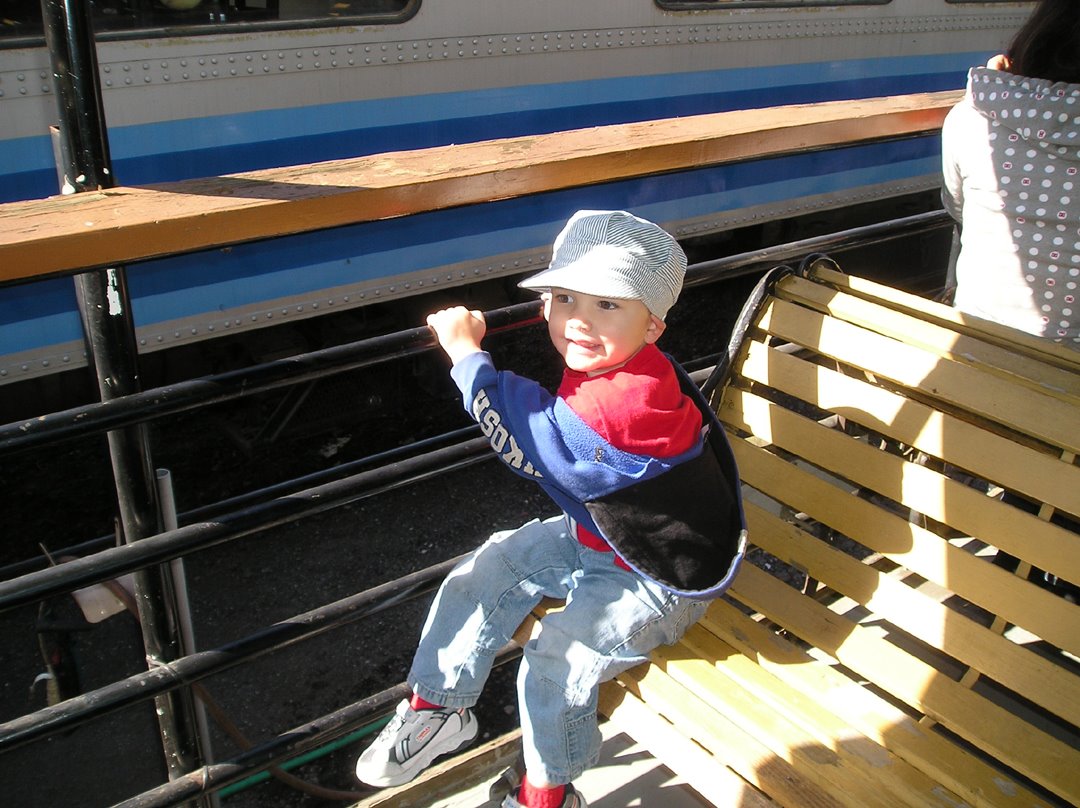 [Fillmore+Train+Nathan+on+Train.jpg]