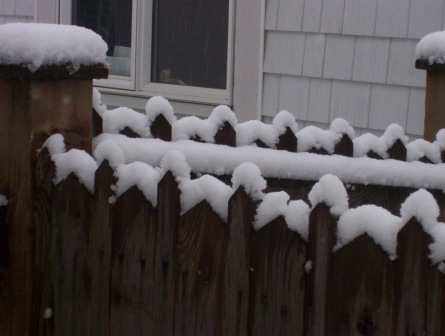[snow_fence.JPG]
