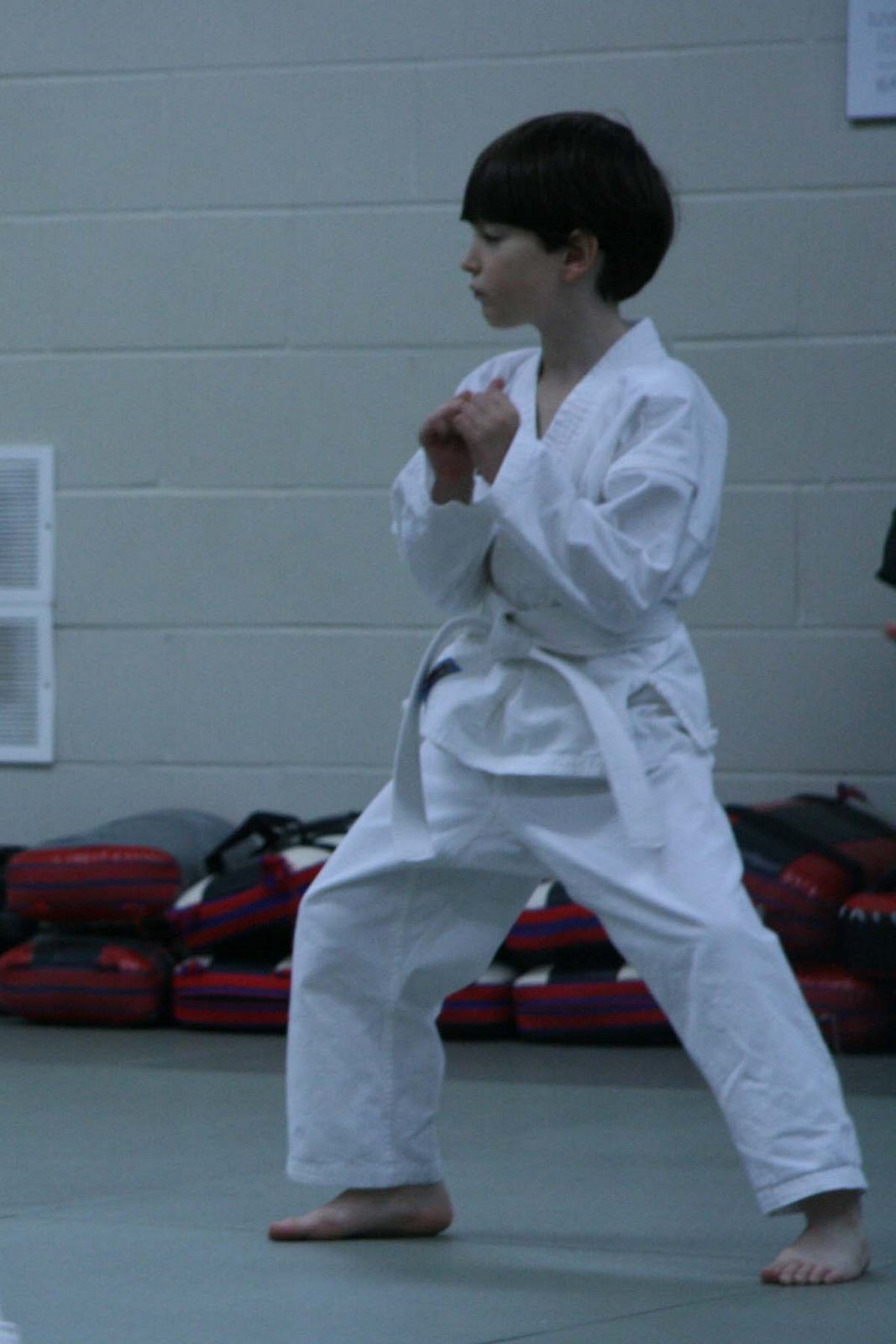 [karate+kid(2).jpg]