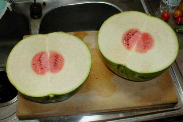 [scammy-watermelon.jpg]
