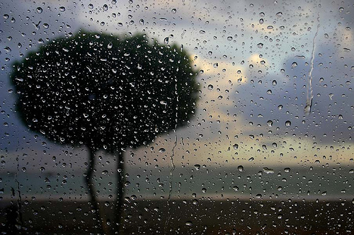 [rain+today.jpg]