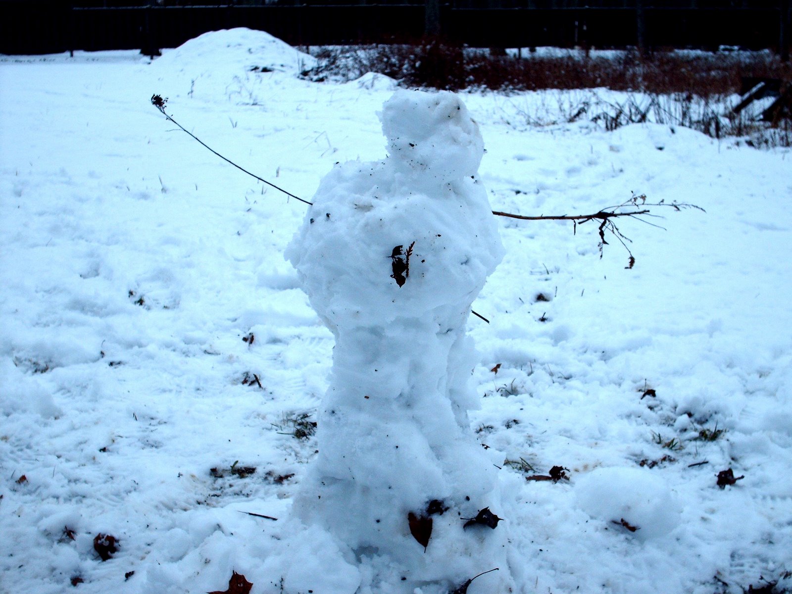 [xmas+snowman+2006.jpg]