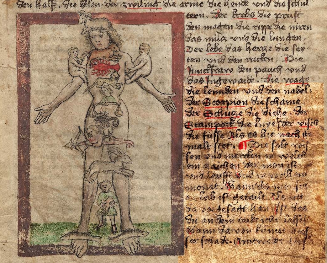 German medieval zodiac man