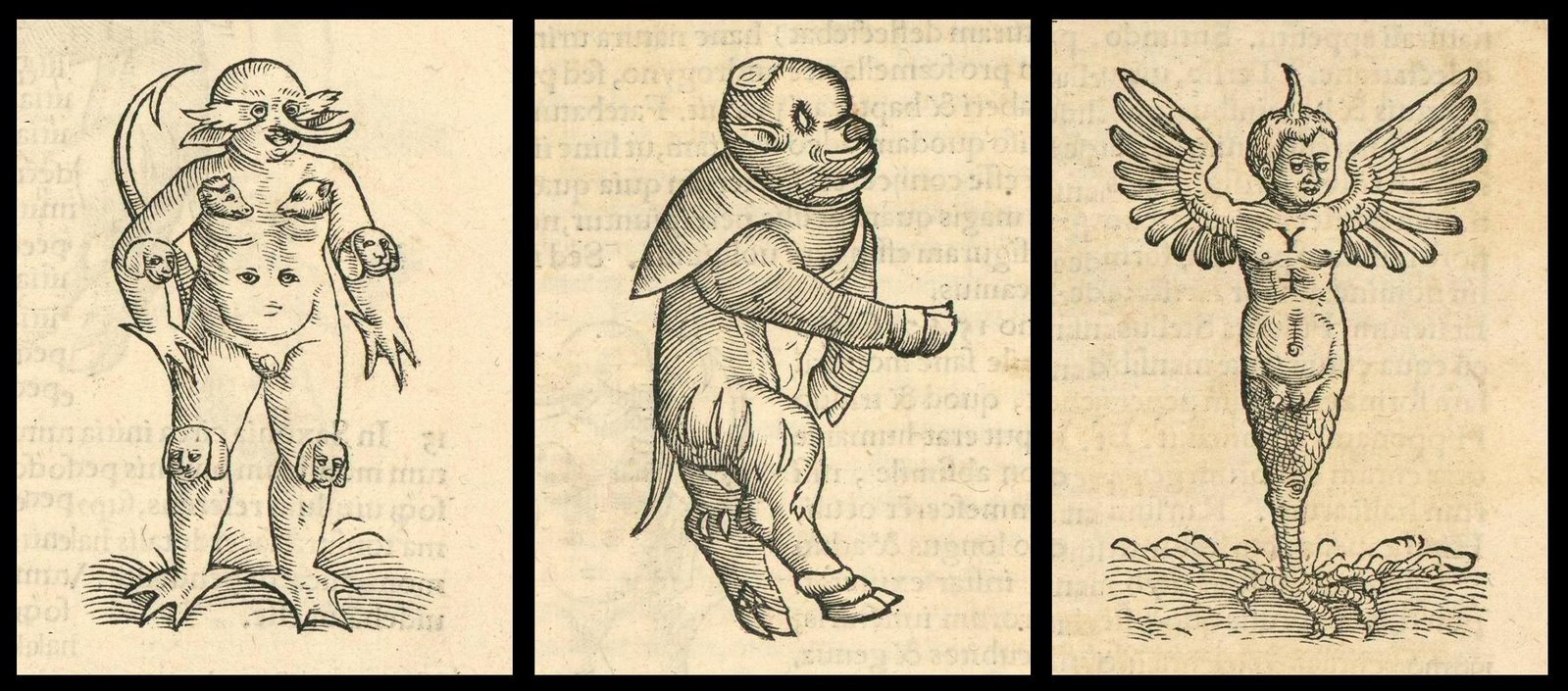 symbolic monster babies - Rueff 1554