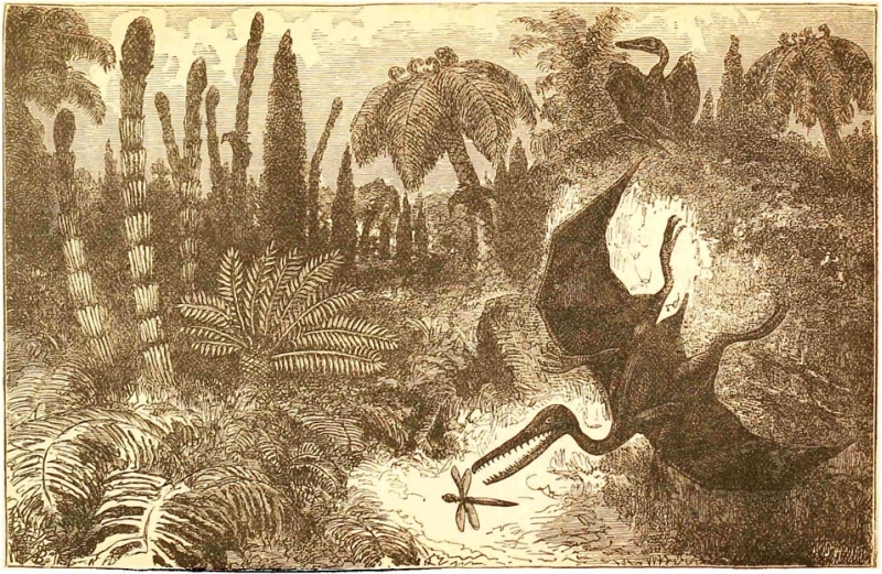 Landscape of the Liassic Period