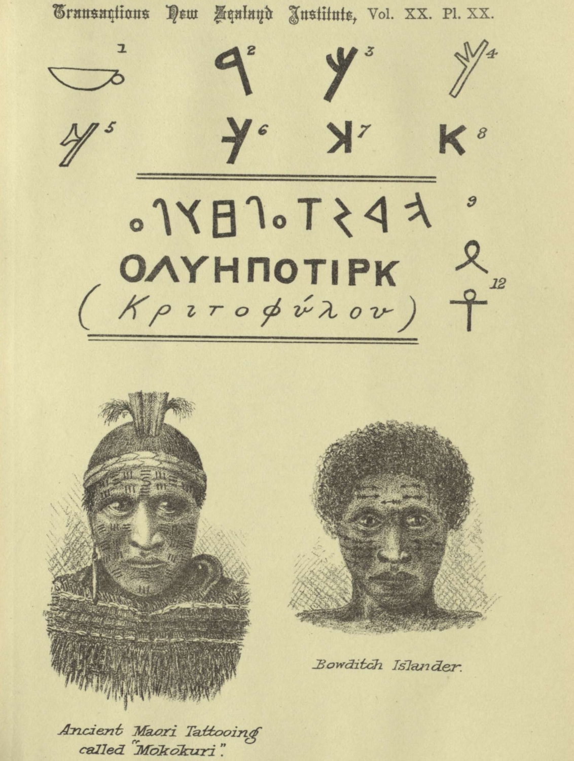 maori script and portraits