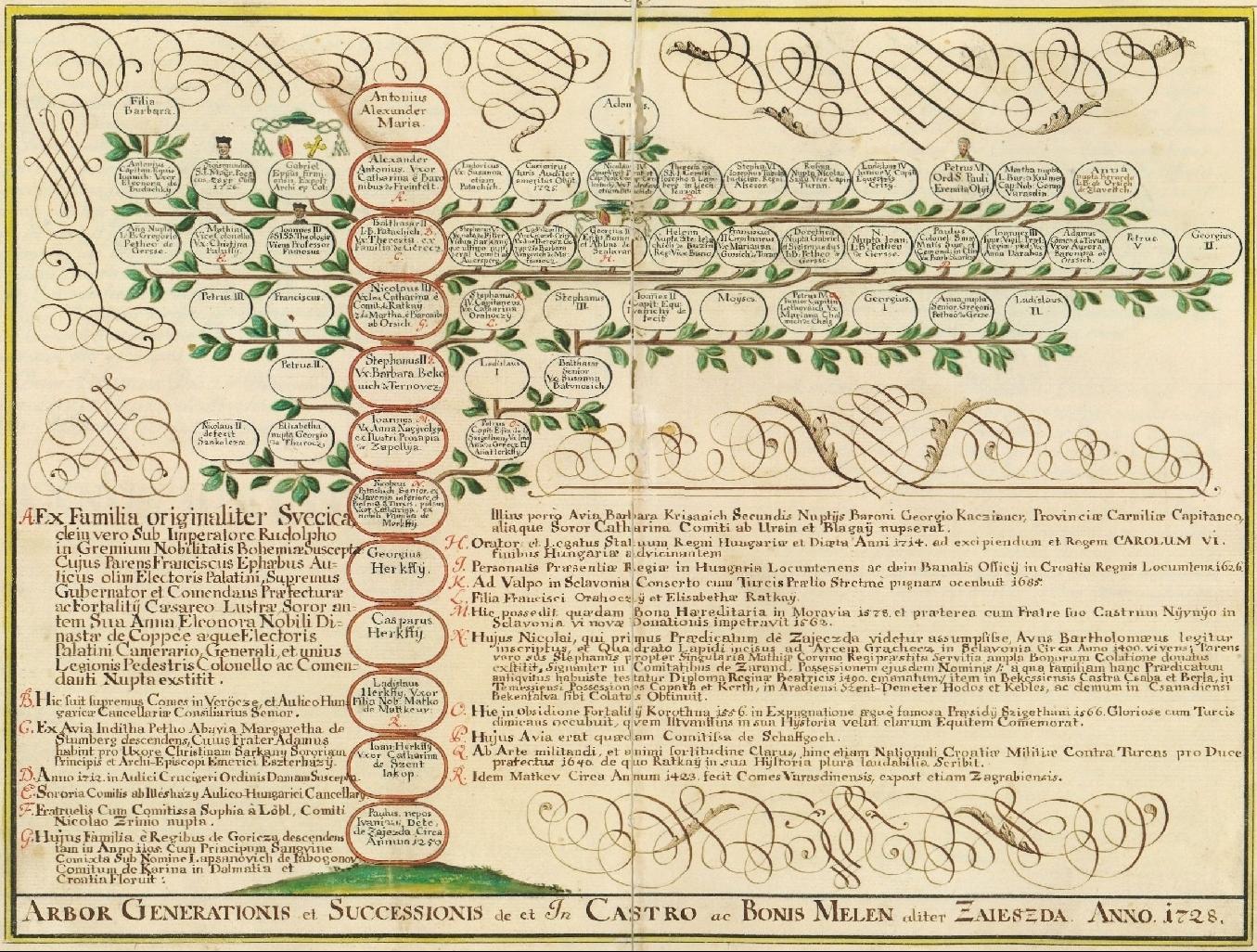 geneology tree with calligraphic flourishes
