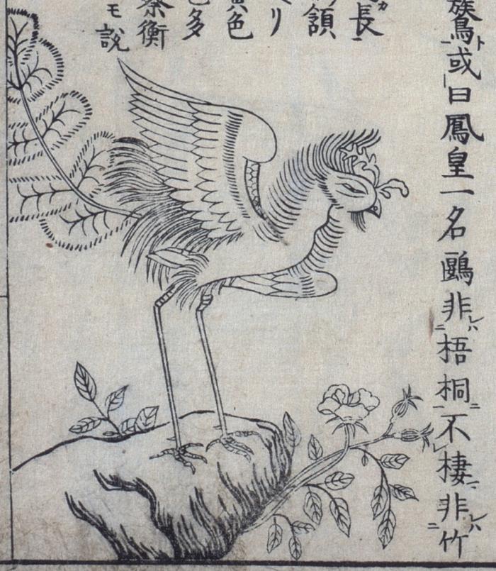 stylised Japanese bird illustration