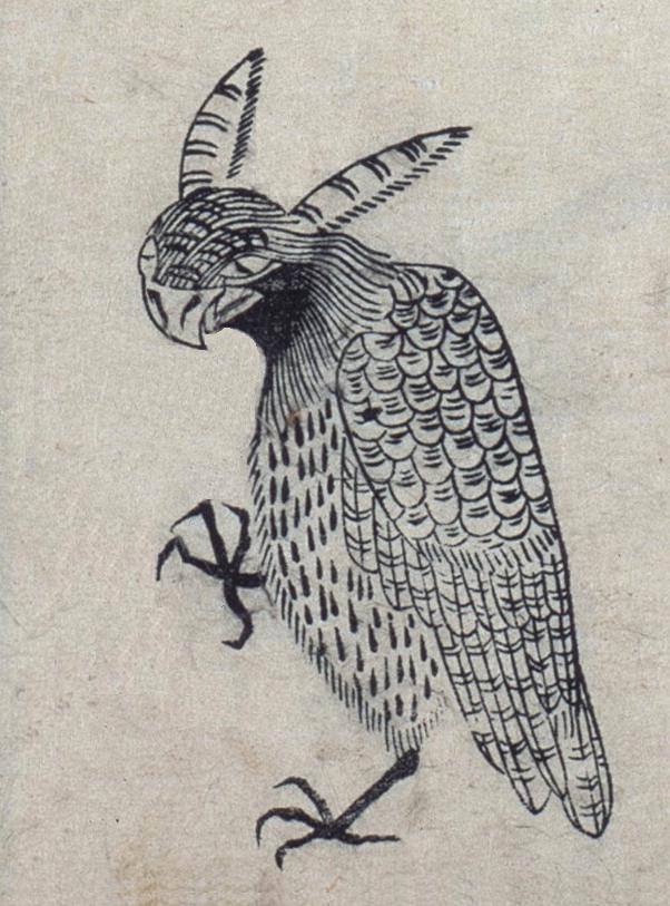 Japanese bird caricature/illustration