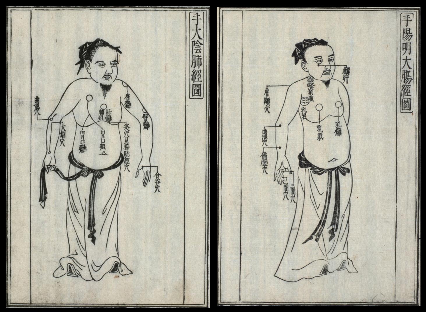 historic Japanese medicine - 2 frontal body views