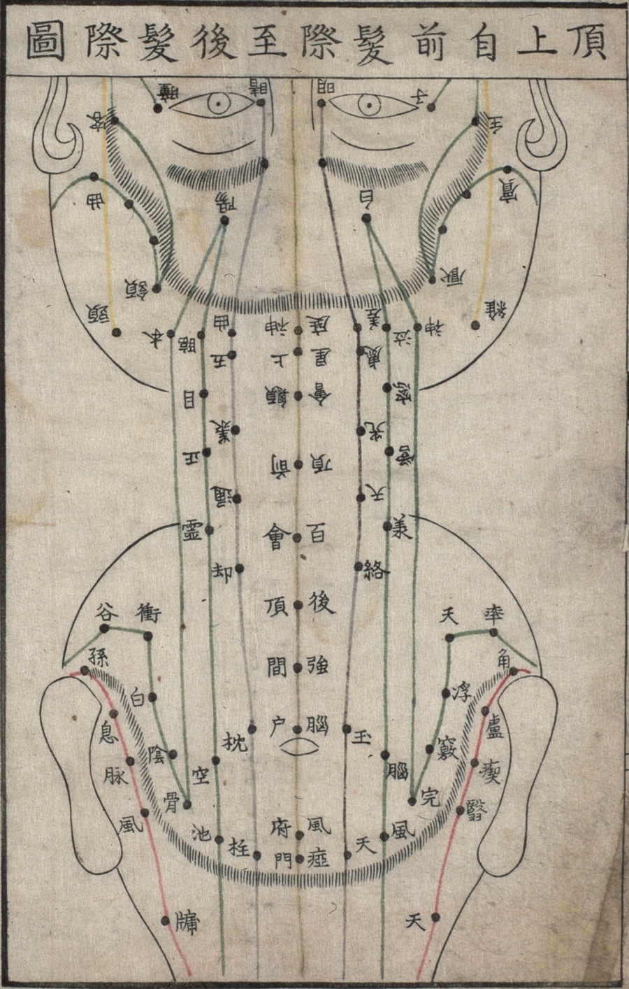 scalp acupuncture map