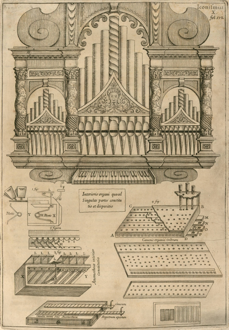 schematics of organ
