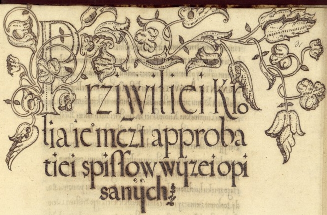 embellished manuscript detail