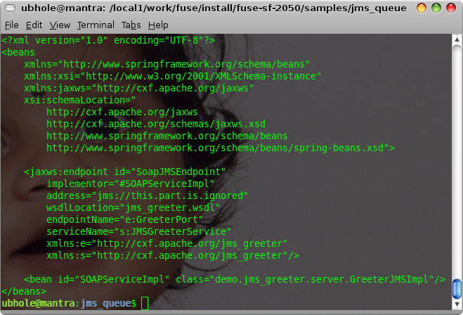 [Screenshot-ubhole@mantra:+-local1-work-fuse-install-fuse-sf-2050-samples-jms_queue-1.png]