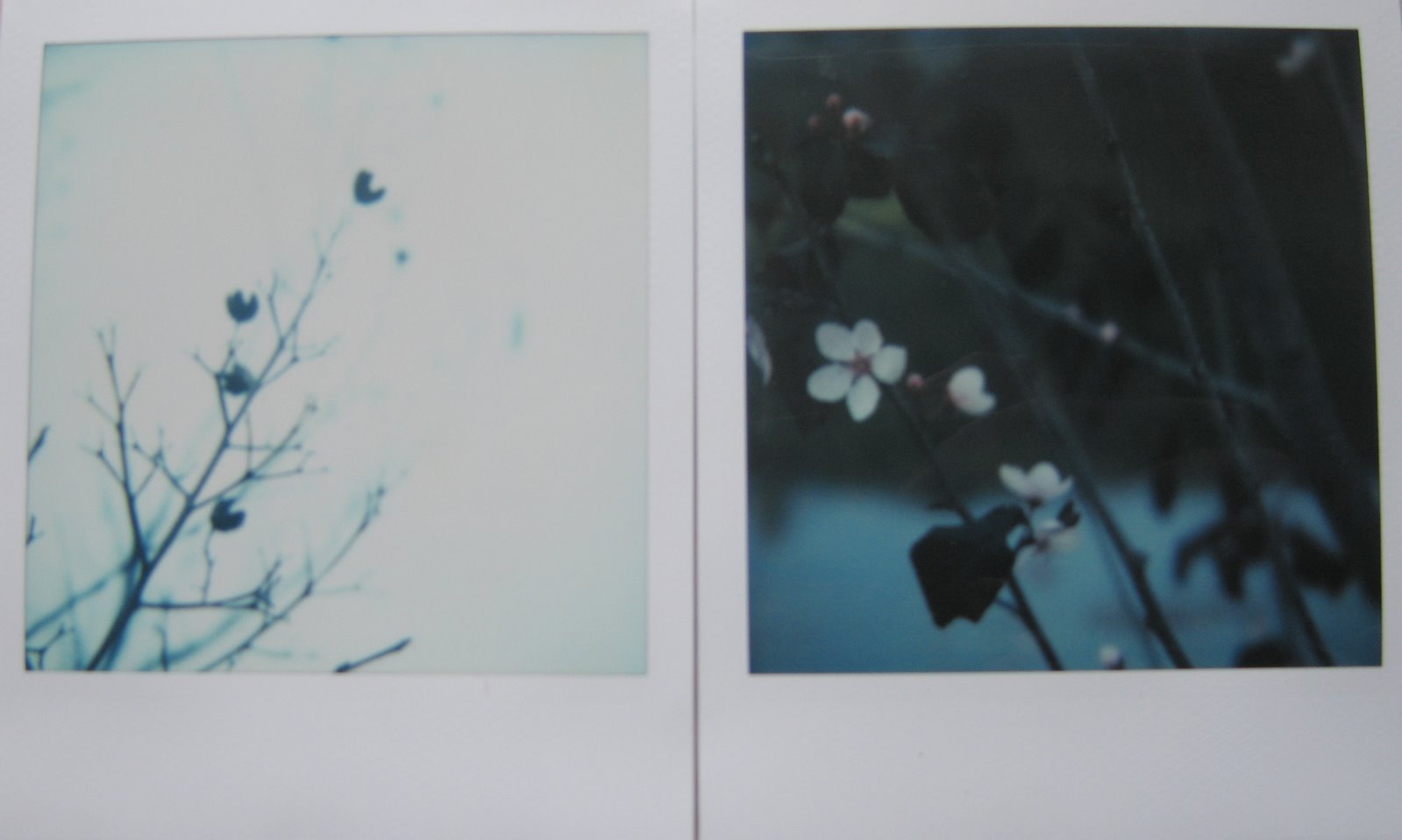 [winter_spring.jpg]