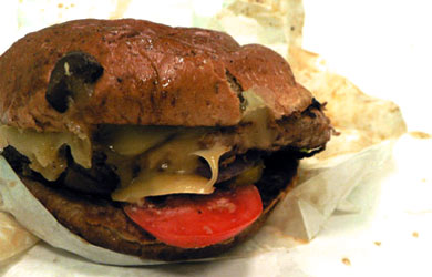 [worsthealthy+burger.jpg]