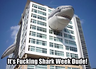 [shark_week+copy.jpg]