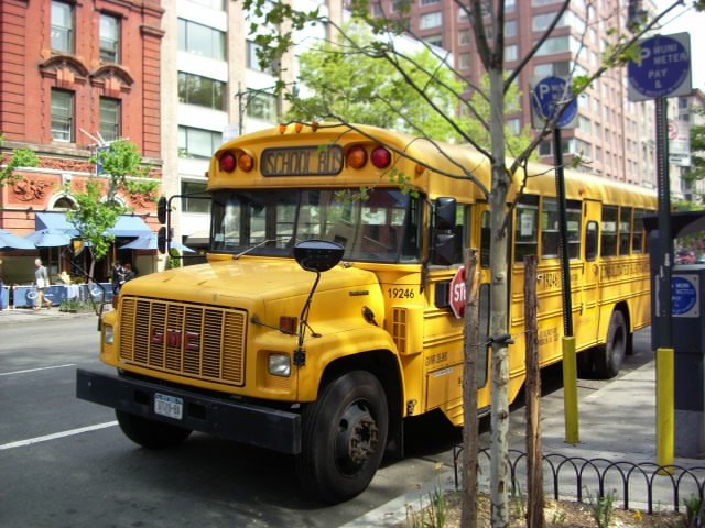 [school+bus.JPG]