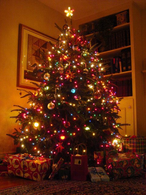 [christmas+tree.bmp]