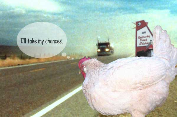 [misc_chicken_crossing_road.jpg]