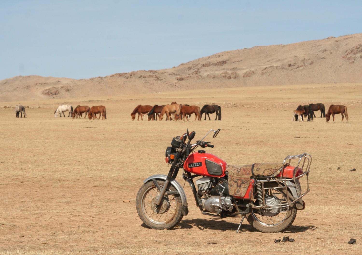 [herders+bike.jpg]