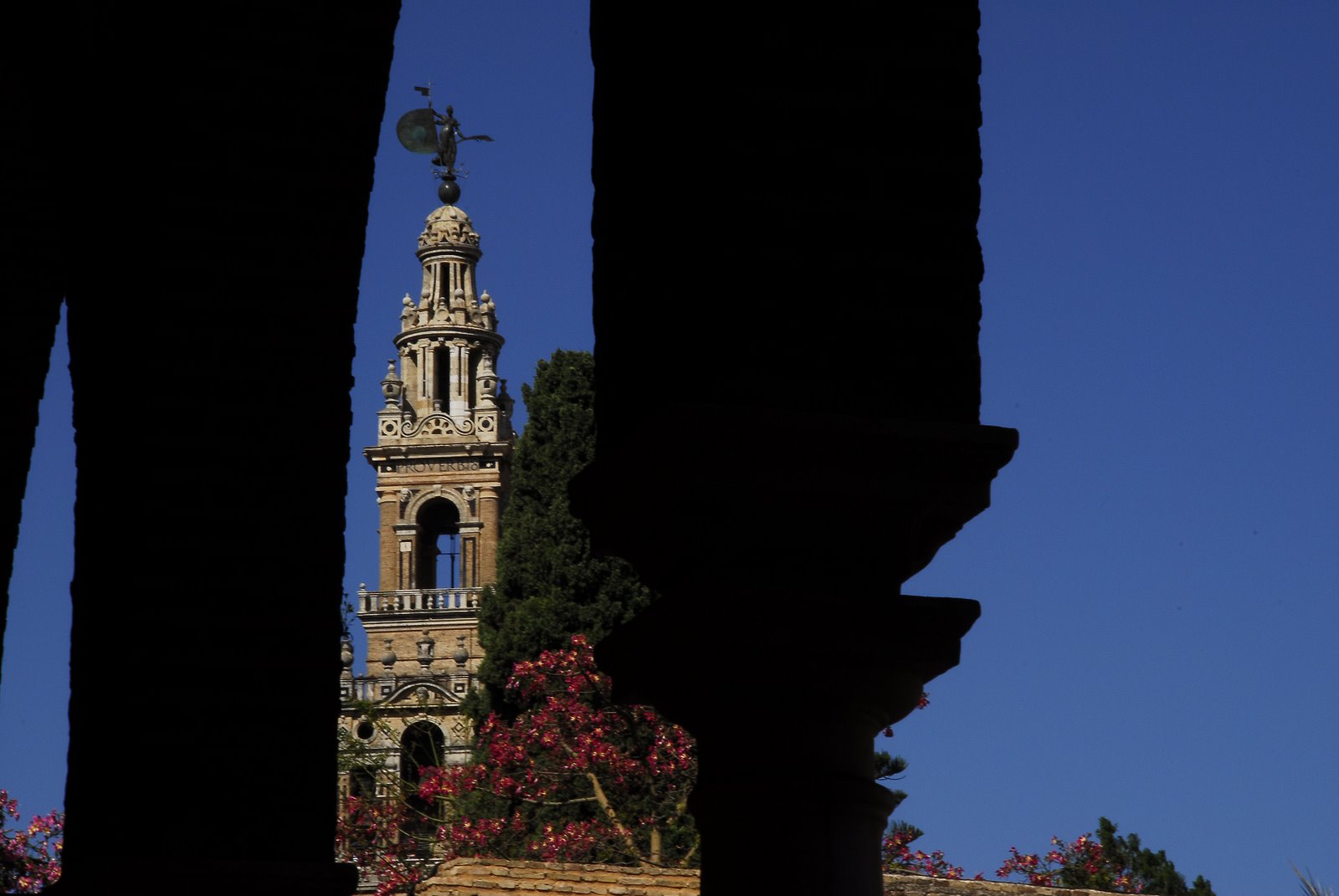 [Cathedral_Seville.jpg]