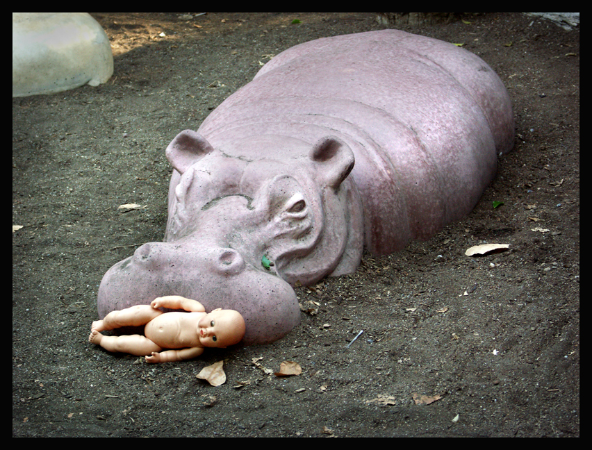 [Hippo+with+Doll+small.jpg]