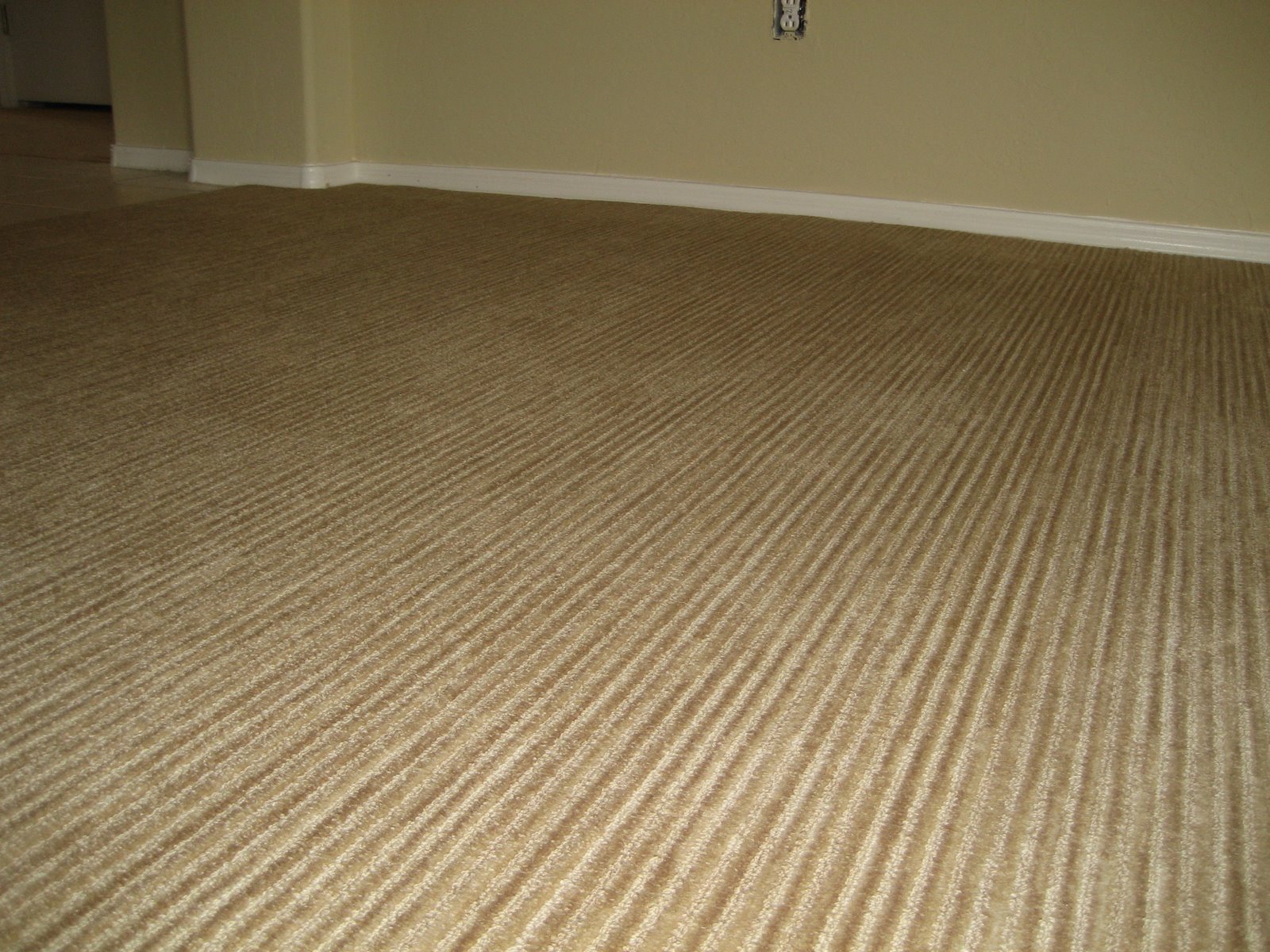 [Carpet+After+Close-Up+2.jpg]