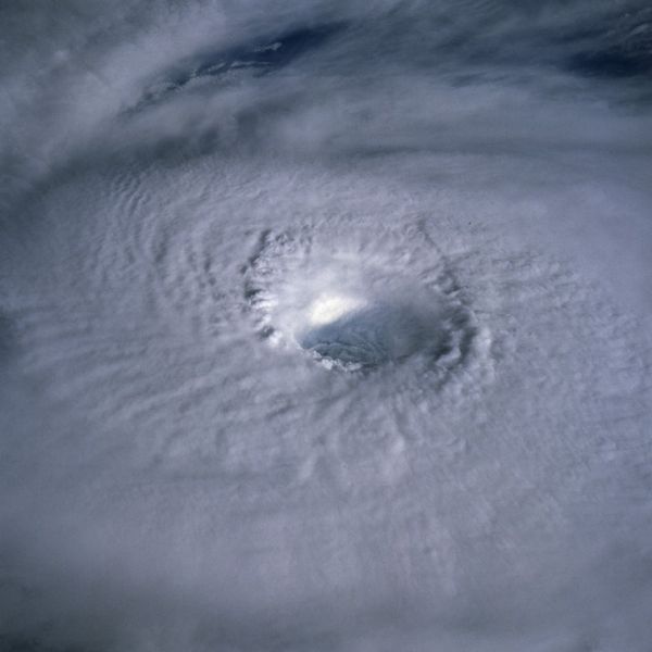[600px-Typhoon_Odessa_1985.jpg]