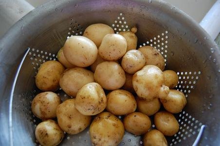 [Potatoes.JPG]