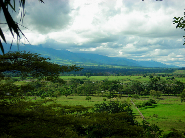 [Resize+of+Los_Llanos_Colombia_by_David.png]