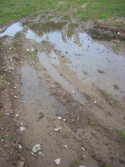 [mud+puddle.jpg]