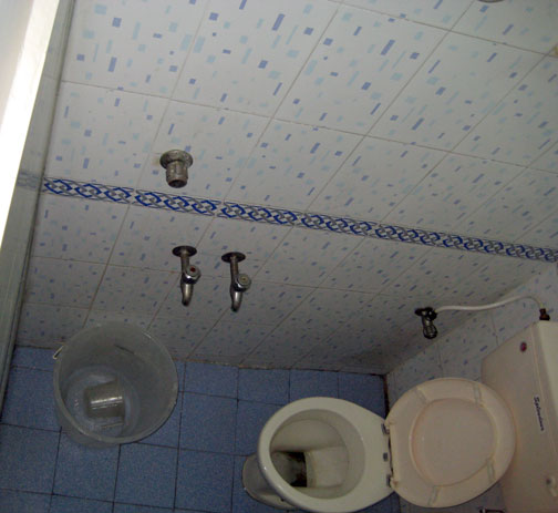 [toilet-shower.jpg]