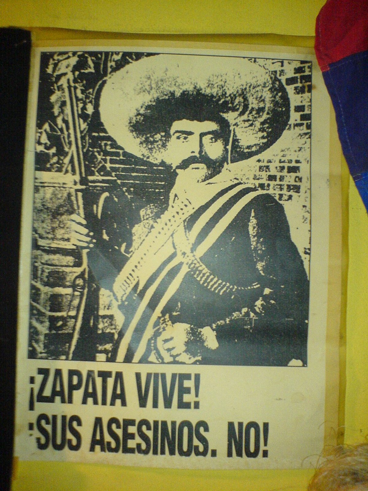 [Zapata.JPG]