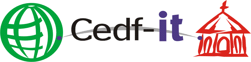 [CEDF-IT+Logo.png]