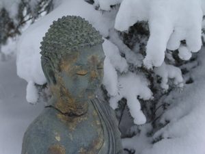 [Buddha pre blizzard.jpg]