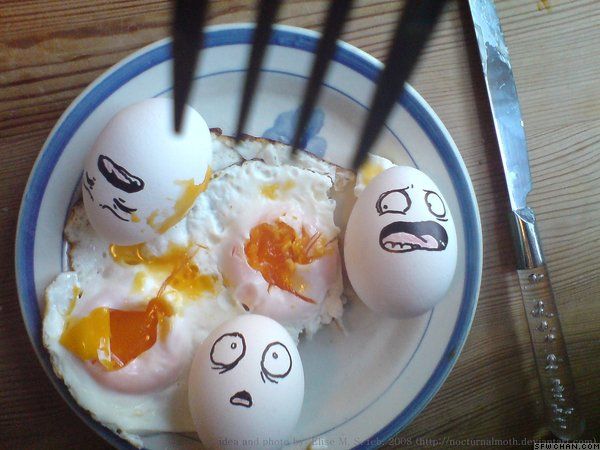 [eggs1.jpg]