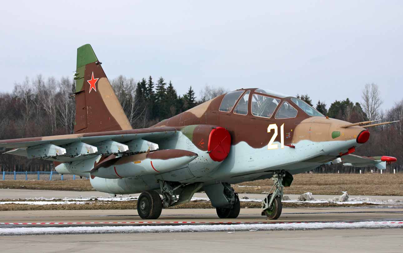 [Su-25(18).jpg]