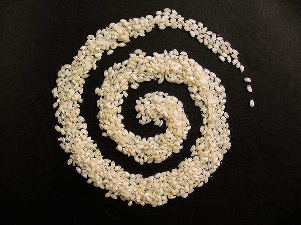 [espiral+de+arroz.jpg]