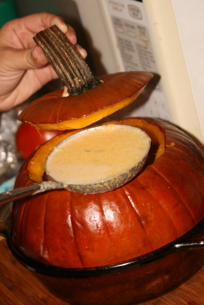 [pumpkin+in+shell.JPG]