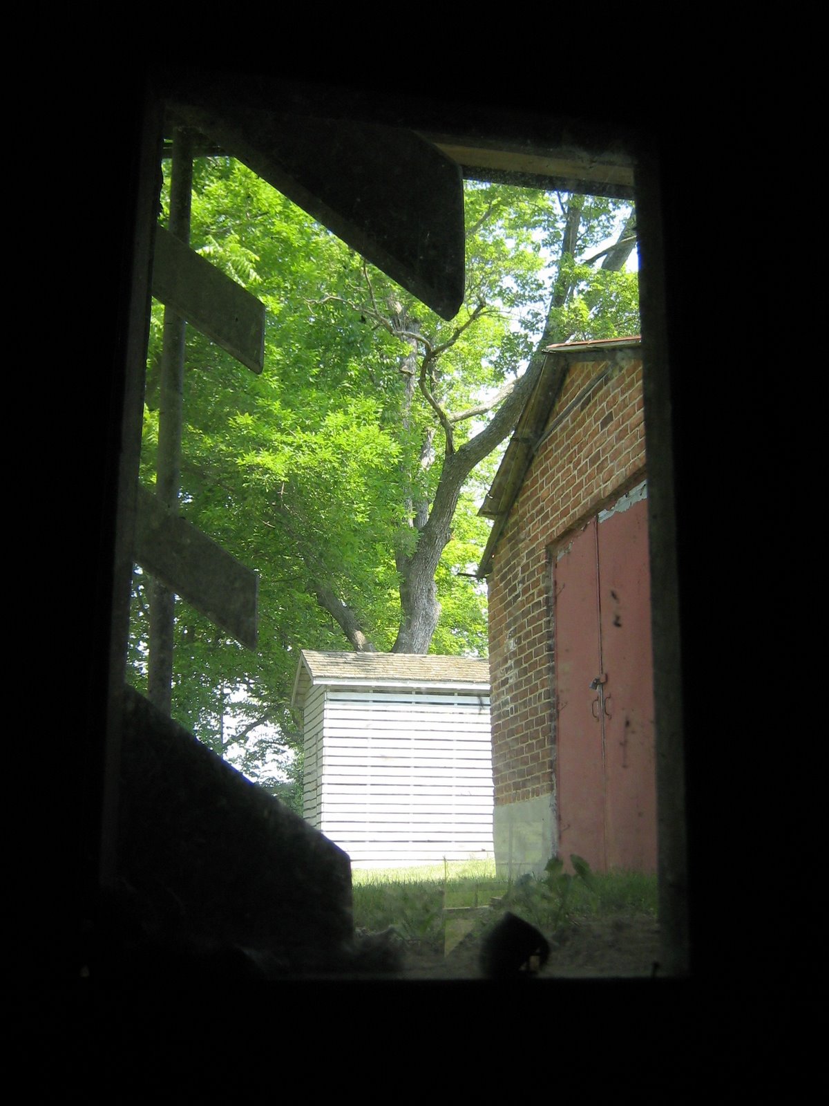 [Window+Shot+from+Mill.JPG]