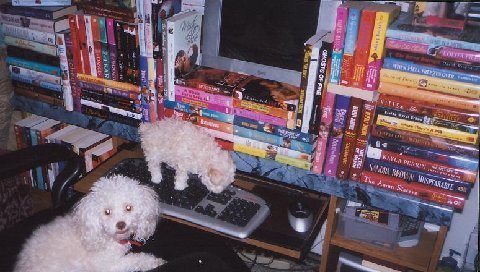 [Puppies+and+books-02.jpg]