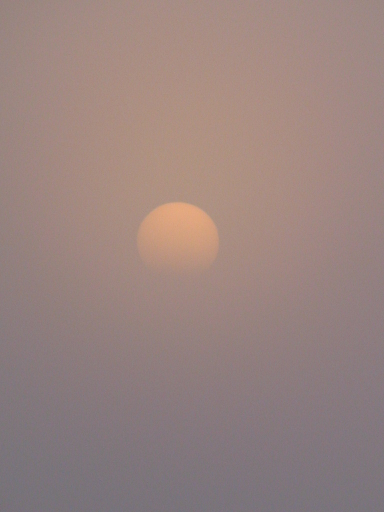 [Foggy+Sunrise.JPG]