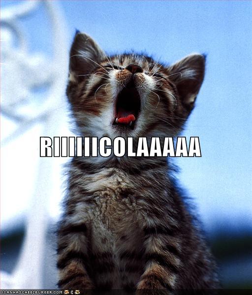 [funny-pictures-ricola-cat.jpg]