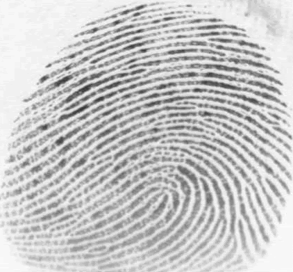[fingerprints.gif]