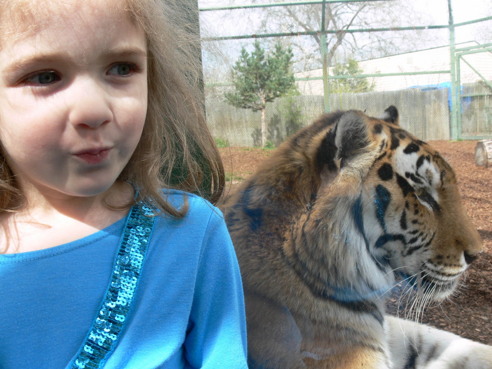 [10Adrienne+and+Tiger.jpg]