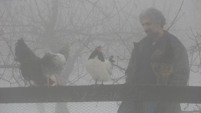 [dan+and+chickens+in+fog.JPG]