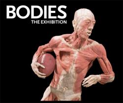 [bodies-exhibition-picture-enero.jpg]