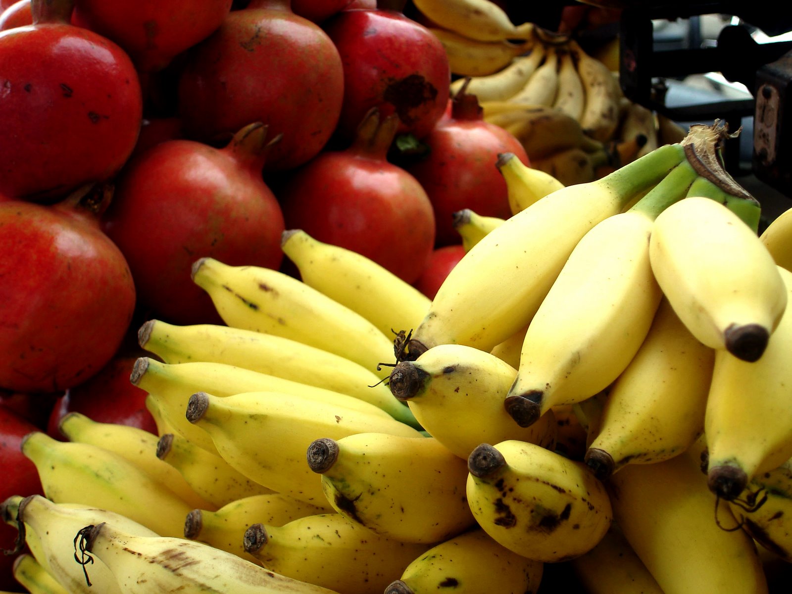[fruits-bananas-001.jpg]