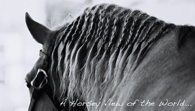 A horsey view of the world
